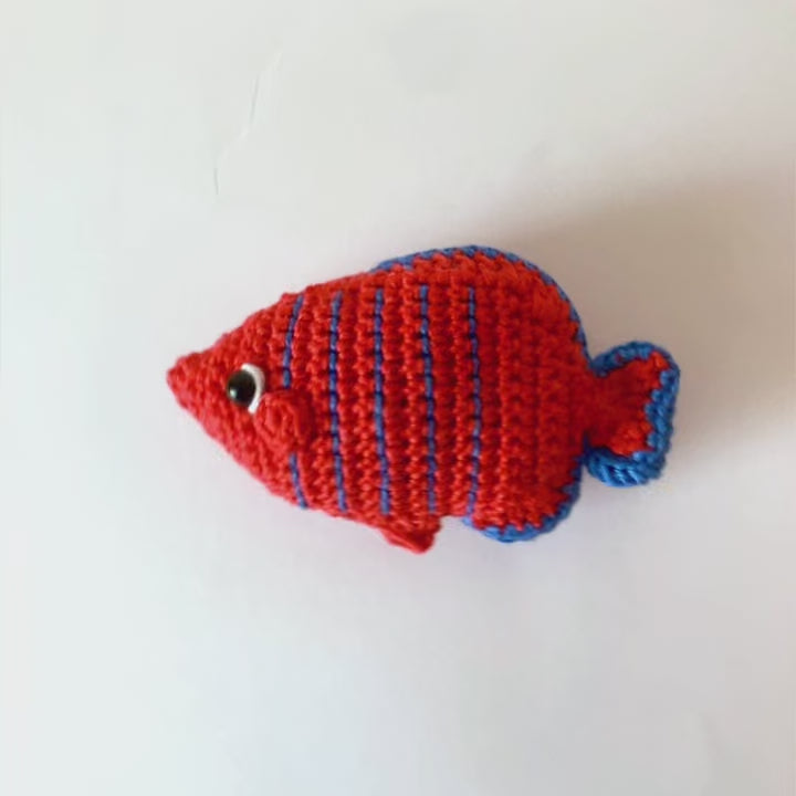 Jeu Attrape-Poissons en Crochet