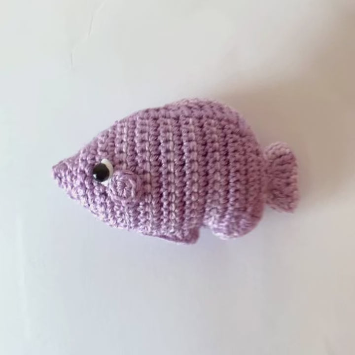 Jeu Attrape-Poissons en Crochet